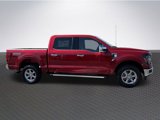 New 2025 Ford F150 XLT w/ Equipment Group 302A MID image 4