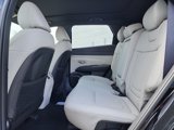 New 2026 Hyundai Tucson Limited image 6