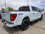 New 2025 Ford F150 STX w/ STX Black Appearance Package image 5