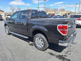 Used 2013 Ford F150 XLT w/ Luxury Equipment Group image 5
