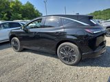 New 2025 Nissan Murano Platinum image 3