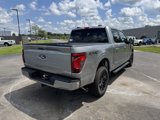 New 2025 Ford F150 XLT image 3