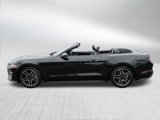 Used 2022 Ford Mustang Premium image 4