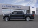 New 2025 Ford F150 Platinum w/ Equipment Group 703A Plus image 3