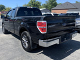 Used 2014 Ford F150 XLT image 3