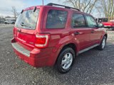 Used 2009 Ford Escape XLT image 5