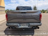 Used 2017 Ford F150 Raptor w/ Equipment Group 802A Luxury image 2