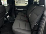 New 2025 Ford F150 XLT image 6