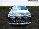 Used 2024 Lexus NX 250 FWD w/ Premium Package image 6