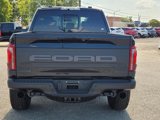 New 2025 Ford F150 Raptor image 4