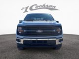 New 2025 Ford F150 XLT w/ Equipment Group 303A High image 2