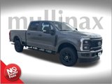 New 2025 Ford F250 XL w/ STX Appearance Package image 1