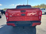 Used 2019 Ford Ranger XLT image 6