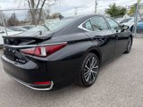 Used 2022 Lexus ES 250 w/ Premium Package image 5