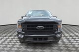 Used 2023 Ford F150 XLT w/ Equipment Group 302A High image 2