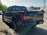 New 2025 Ford F150 XLT w/ Equipment Group 302A MID image 5