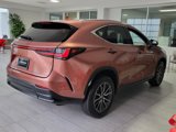 Used 2025 Lexus NX 250 FWD w/ Premium Package image 6