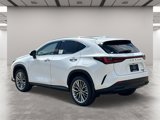 New 2026 Lexus NX 350 AWD w/ Luxury Package image 4
