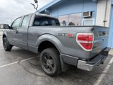 Used 2010 Ford F150 XL image 3
