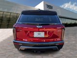 New 2026 Cadillac Vistiq Sport image 4