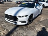 Used 2024 Ford Mustang Premium image 2
