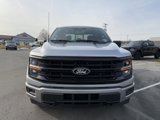 New 2025 Ford F150 XLT w/ Equipment Group 302A MID image 2