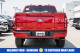New 2025 Ford F150 Platinum w/ Equipment Group 702A High image 5