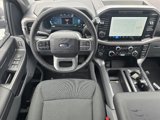New 2025 Ford F150 XLT w/ Equipment Group 302A MID image 4