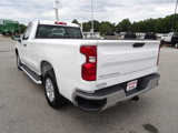 Used 2024 Chevrolet Silverado 1500 W/T w/ WT Fleet Convenience Package image 5