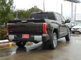 New 2025 Toyota Tundra 1794 Edition image 5