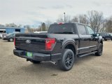 New 2025 Ford F150 STX w/ STX Black Appearance Package image 5