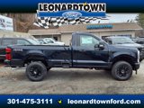 New 2025 Ford F250 XLT image 2