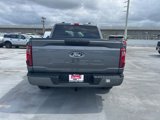 New 2025 Ford F150 STX w/ Equipment Group 200A image 5