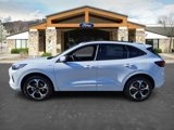 New 2025 Ford Escape ST-Line Elite w/ Premium Technology Package image 4
