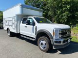 New 2025 Ford F550 4x4 SuperCab Super Duty w/ XL Chrome Package image 3