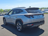 Used 2024 Hyundai Tucson Limited image 4