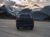 New 2025 Ford F250 Platinum w/ Tremor Off-Road Package image 5