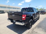 Used 2019 Ford F150 XLT w/ Equipment Group 302A Luxury image 5