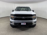 Used 2024 Ford F150 XLT image 2