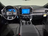New 2025 Ford F150 XLT w/ Equipment Group 301A Standard image 3