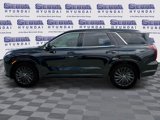 New 2025 Hyundai Palisade Calligraphy image 6