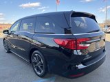 Used 2023 Honda Odyssey Elite image 5