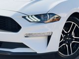 Used 2022 Ford Mustang Premium image 2