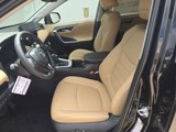 New 2025 Toyota RAV4 XLE Premium image 3