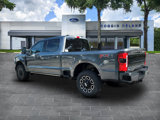 New 2025 Ford F250 Platinum image 3