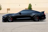 Used 2018 Ford Mustang Shelby GT350R w/ GT350R Equipment Group 920A image 3