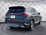 Used 2022 Hyundai Santa Fe SEL w/ Convenience + Premium Package image 5