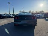 Used 2017 Ford Mustang Premium image 6