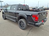New 2025 Ford F150 XLT w/ Equipment Group 302A MID image 2