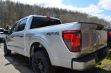 New 2025 Ford F150 STX image 5